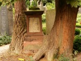 Friedhof_15